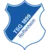 1899 Hoffenheim Logo